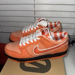 Nike SB