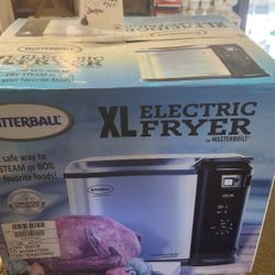 Electric Fryer