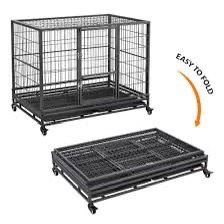 Cage large the metal