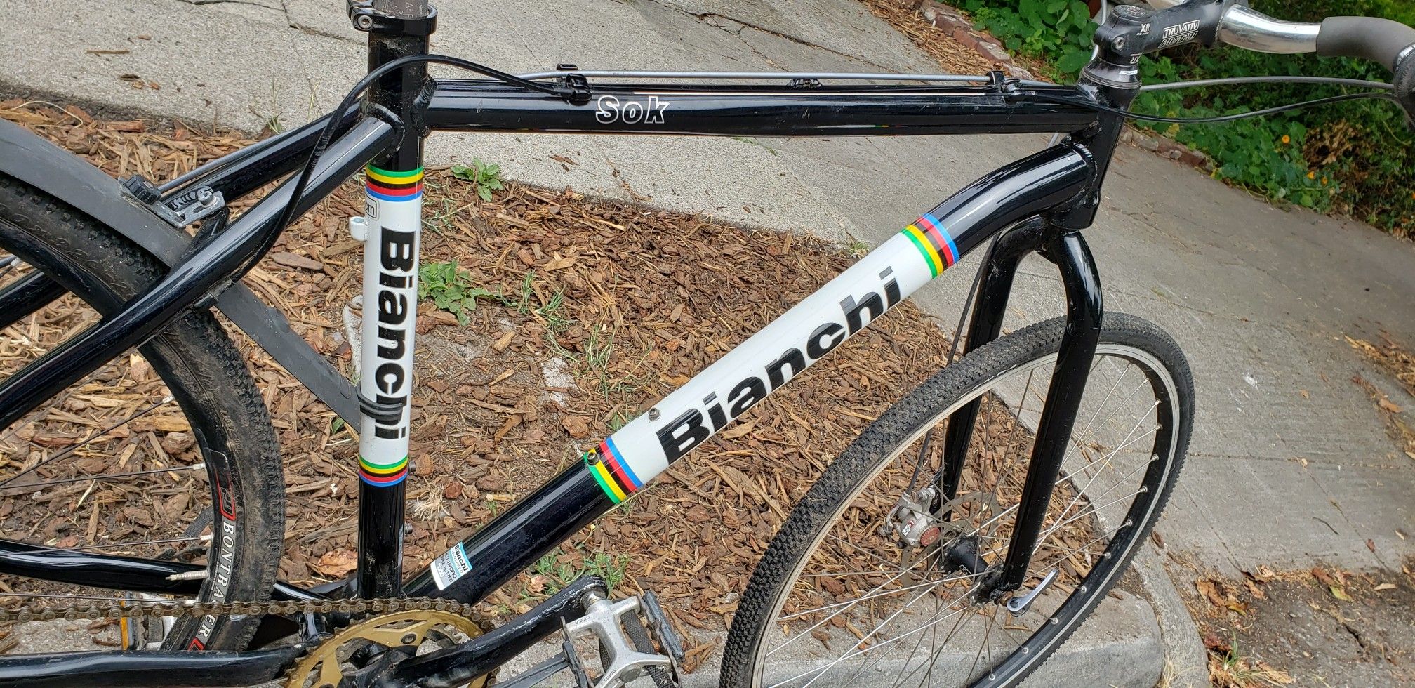 Bianchi sok - 19" (M) frame - OBO
