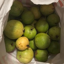 Fresh Guavas 