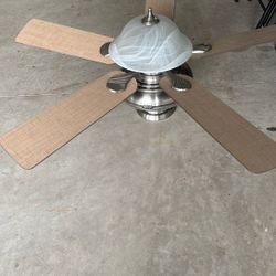  52 in. Indoor Dual Mount Point Bonita Ceiling Fan 