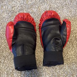 Protocol boxing gloves