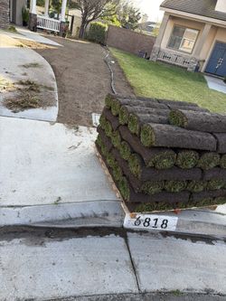 Sod