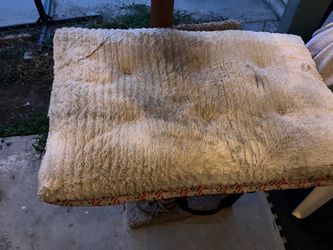Free dog/cat bed North Long Beach