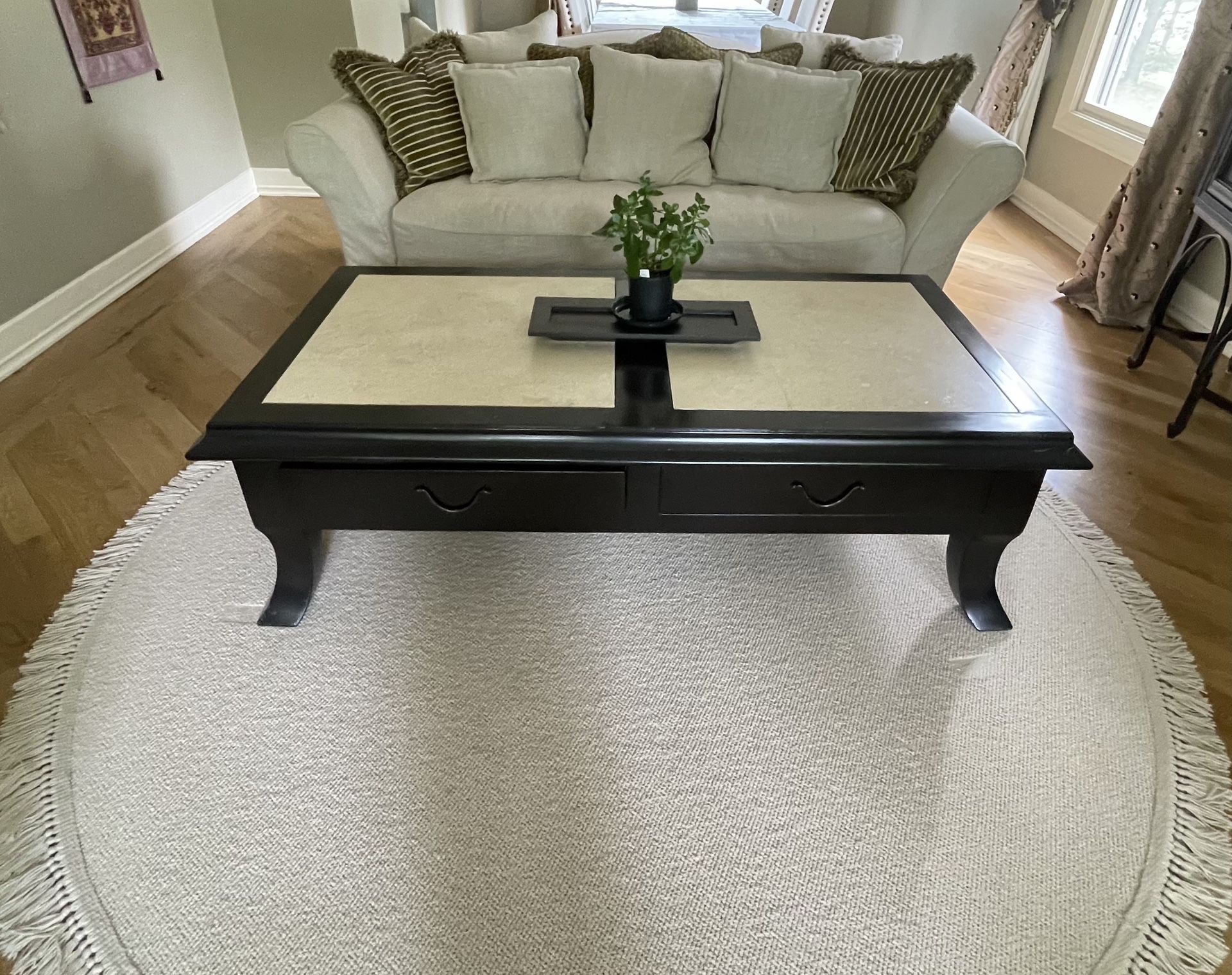 Elegant coffee table with 2 drawers