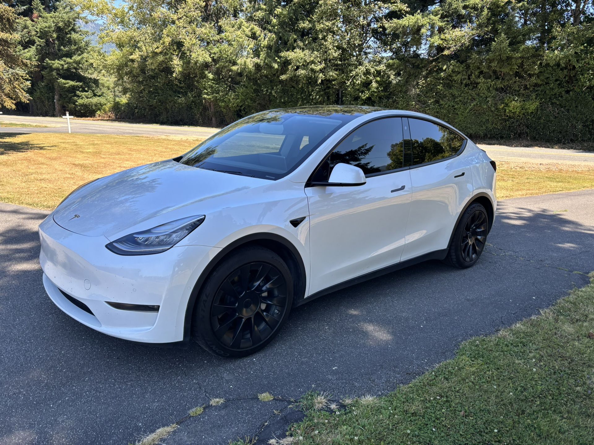 2020 Tesla Model Y