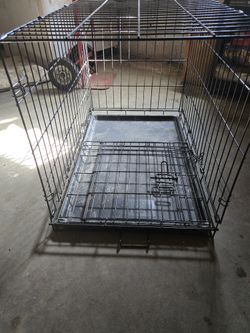 Keno The Dogs Mediano  