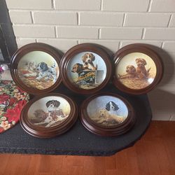 Lot Of 5 Framed Doggy Puppy Plates 