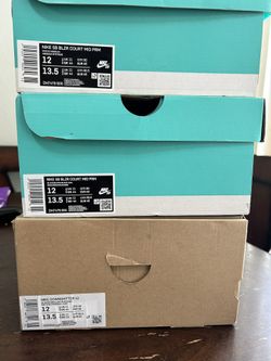 Nike Blzr Court Mid Prm/Nike Downshifters