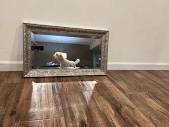 Framed Mirror