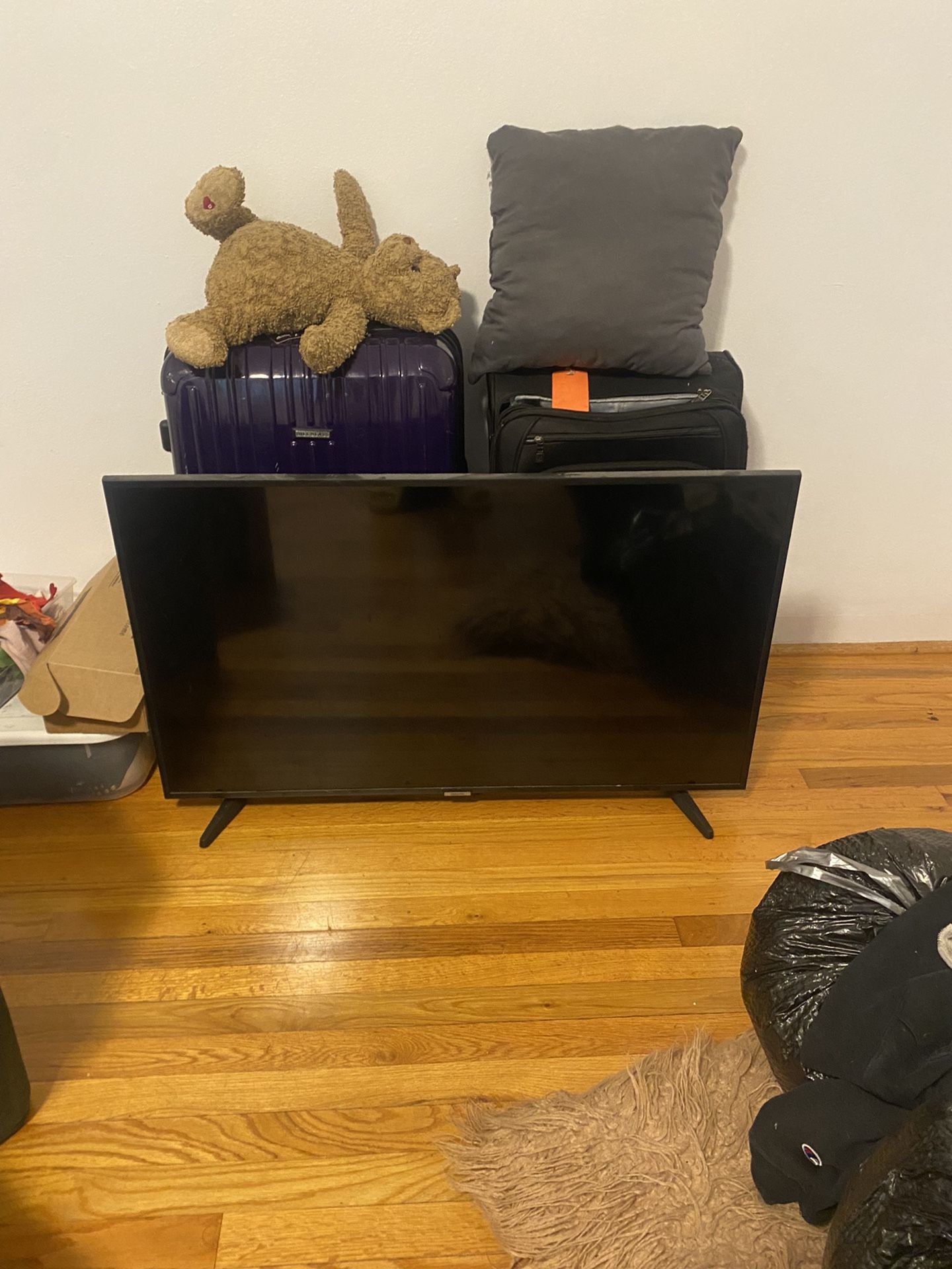 43 Inch Flat Screen TV