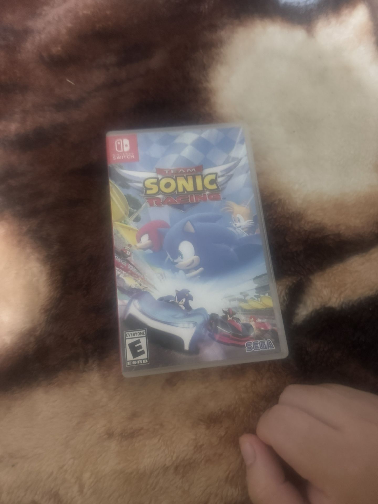 Sonic Racing