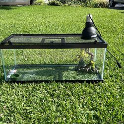 Reptile Terrarium