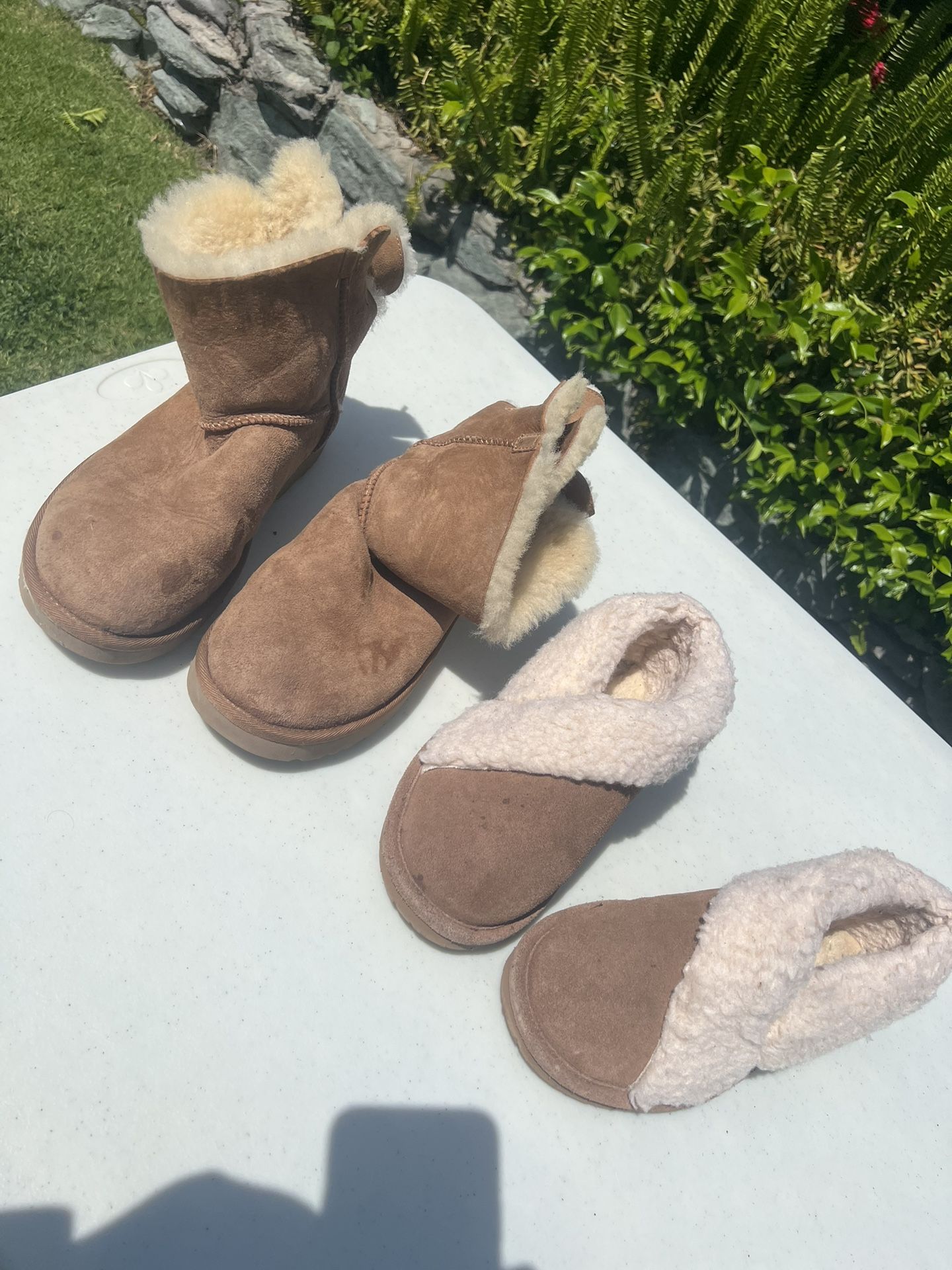 ugg and bearpaw