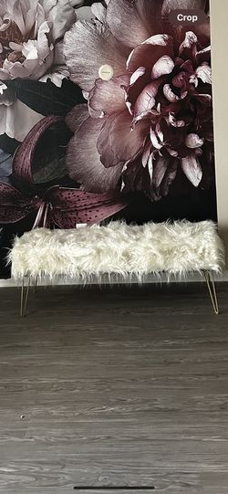 Furry Chair