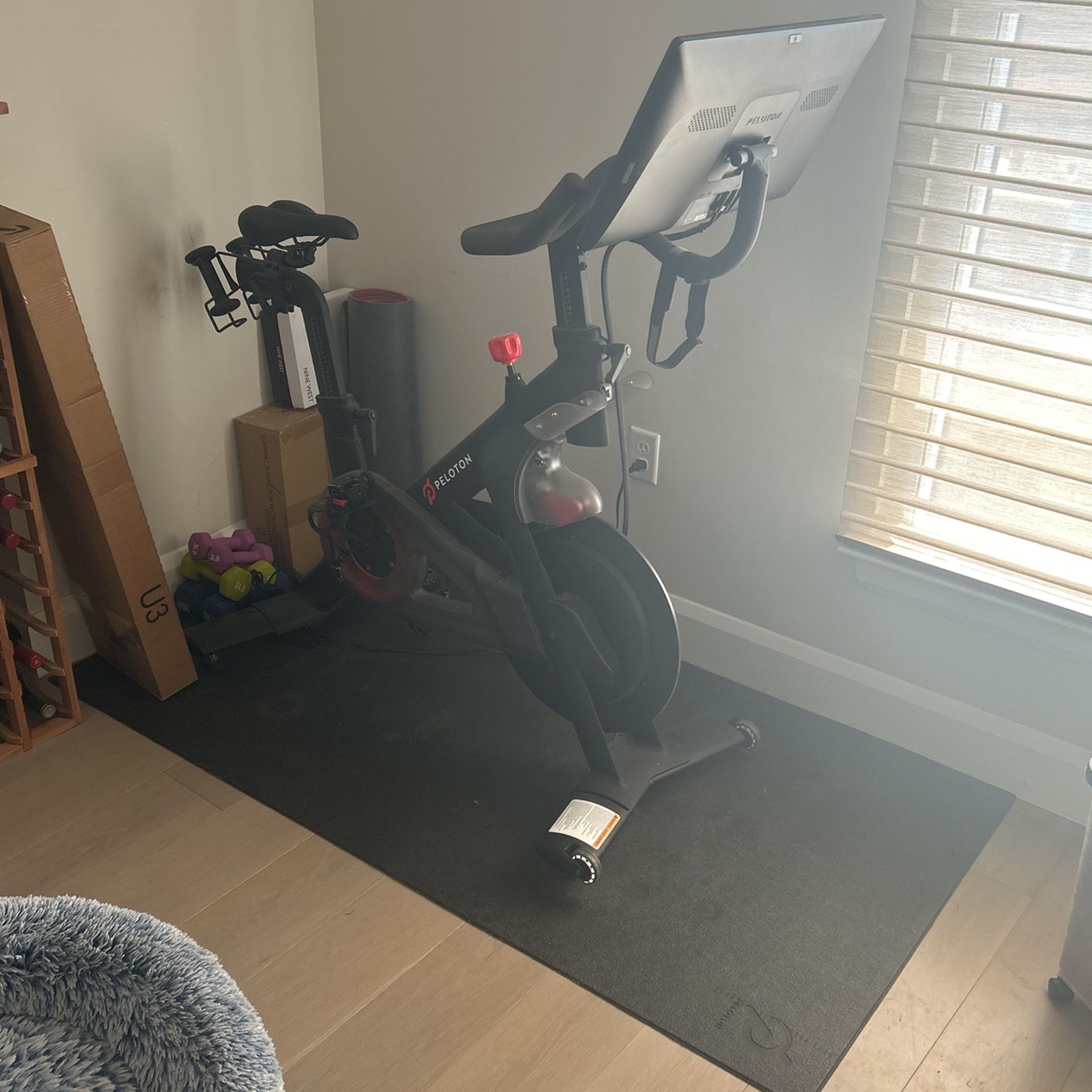 Peloton Bike and matt