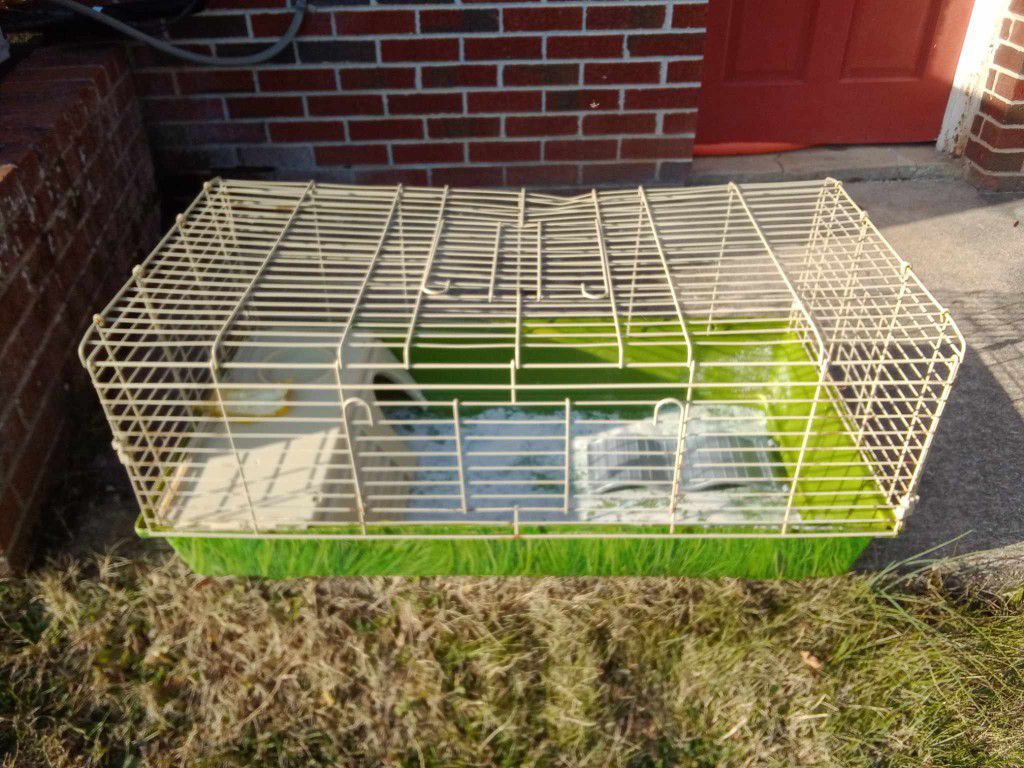 Guinea Pig Cage