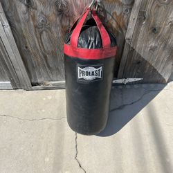 Prolast Punching Bag 