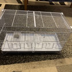 Birds Cage 