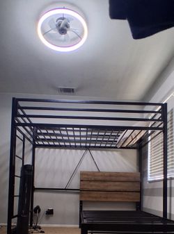 Loft Bed