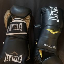 Everlast Boxing Gloves