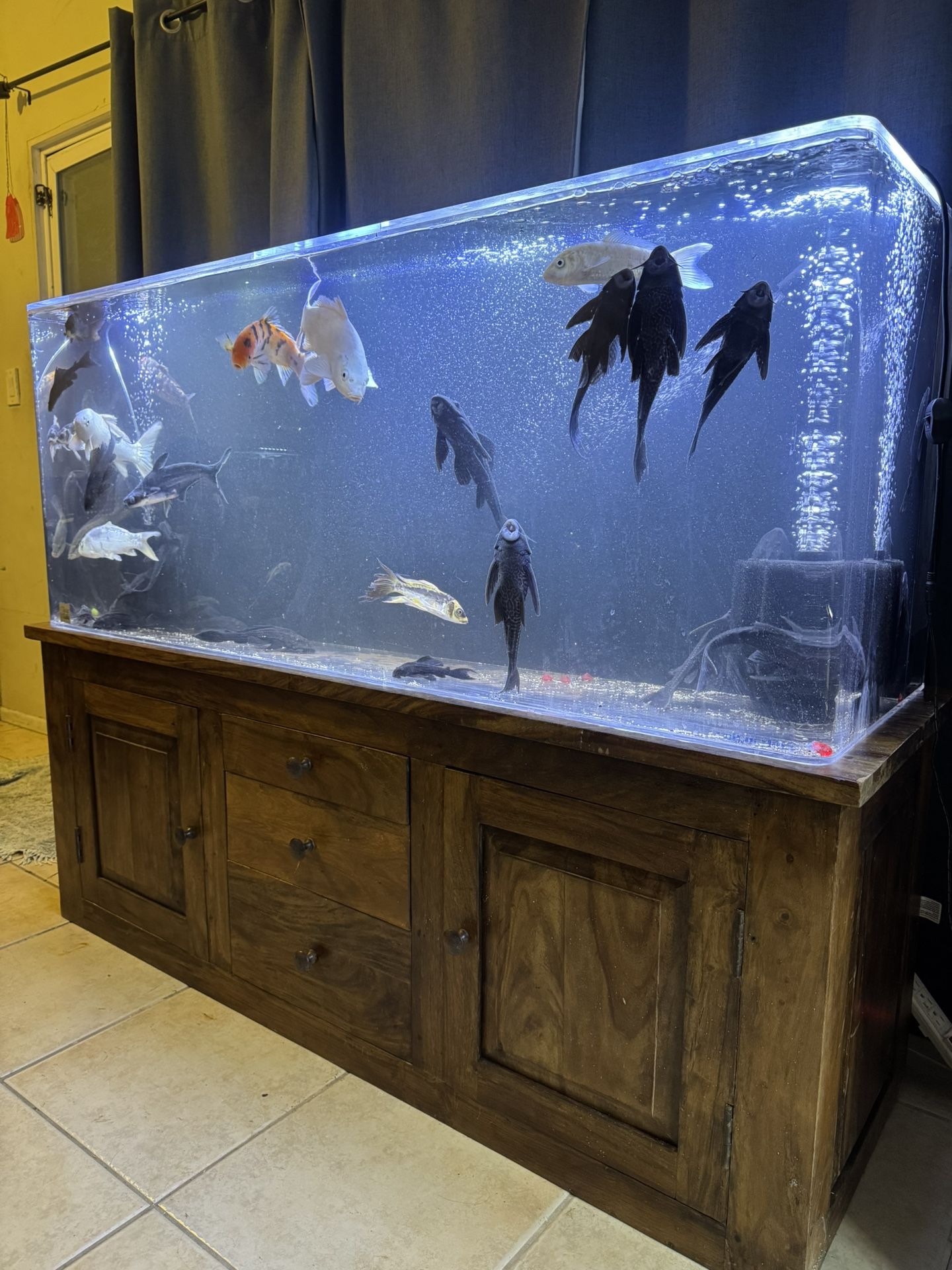 Fish Tank Aquarium 100 Gallon Acrylic
