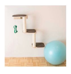 Cat stairs