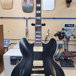 Epiphone Emily Wolf Sheraton  w/ Lots Of Extras 