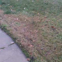 Sprinklers