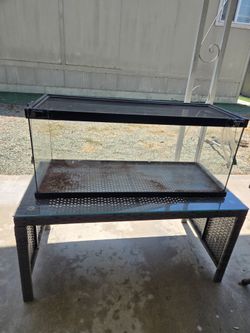 20 gallon Reptile enclosure