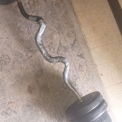 Barbell LBS Set Wholesale 