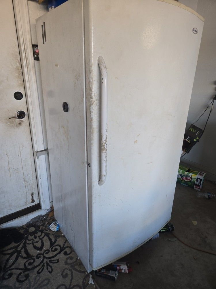 Full Size Stand Up Deep Freeze