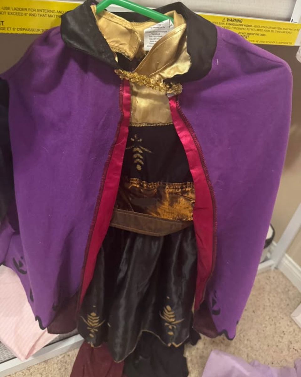 Princess Anna Costume Size 4-6