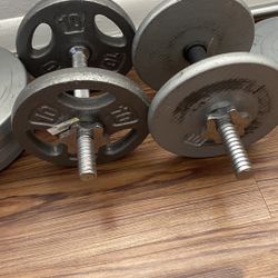Dumbbells And Bar 