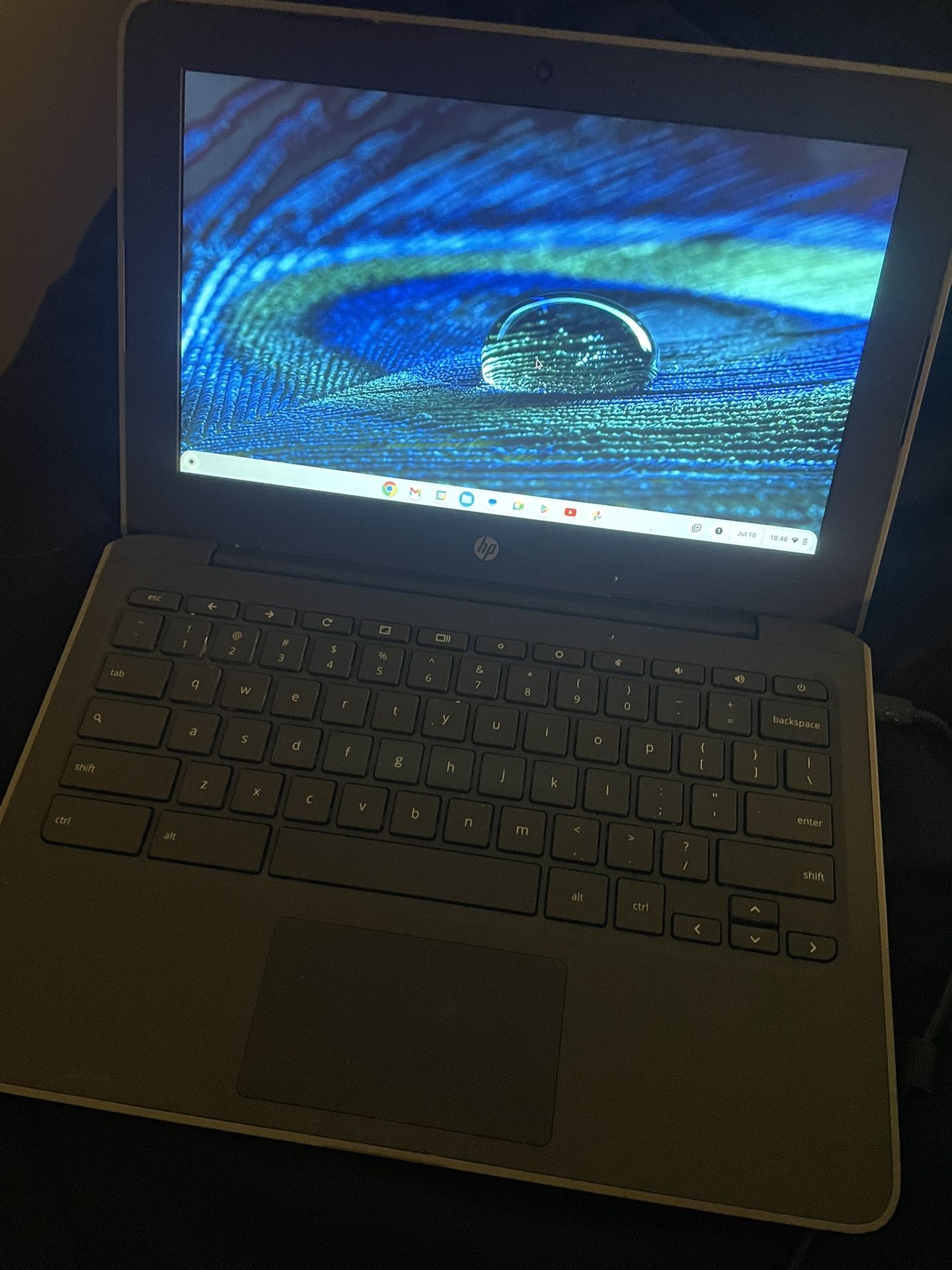 Hp Chromebook