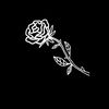 Will Cr