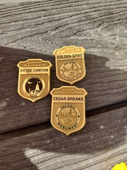 Junior  Park Ranger collectible badges national parks 3 in the lot