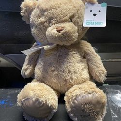 Baby's First Bear
