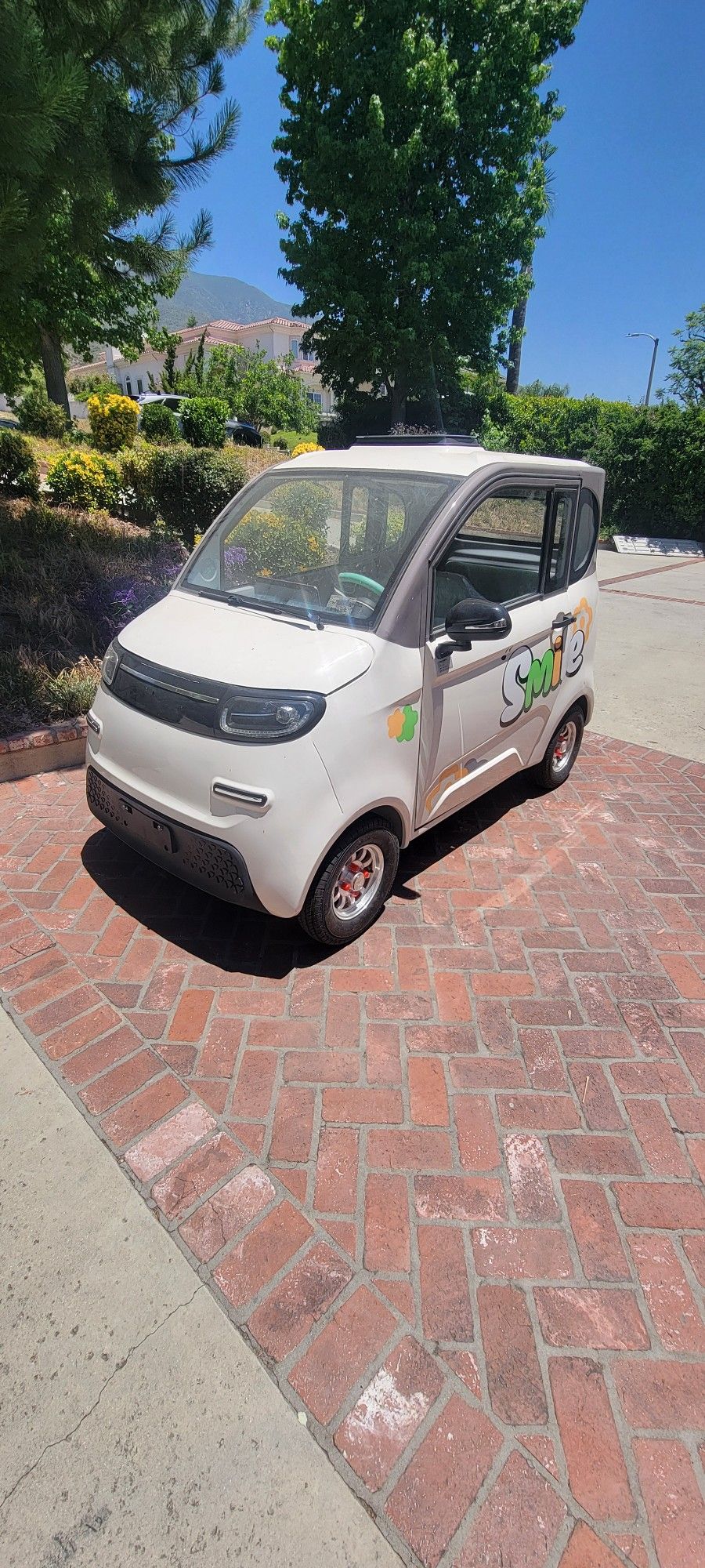 2024 Raccoon RC-G150 Electric Car (1000 Watts)