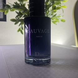 Dior Savage Perfume 100ml