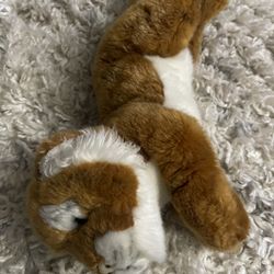 Animal Plush