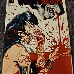 Vengeance Of Vampirella #1