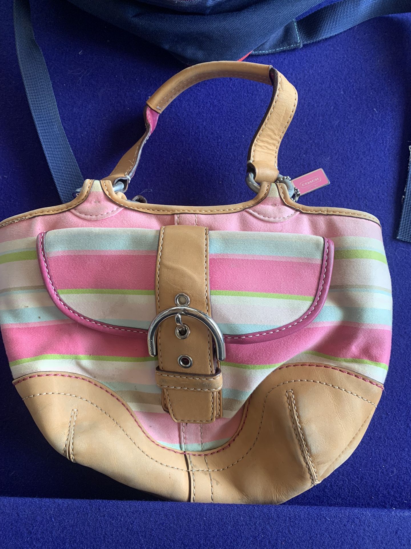 Coach Hand Purse (small)