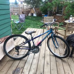 Trek Navigator 200 Kids Bike 