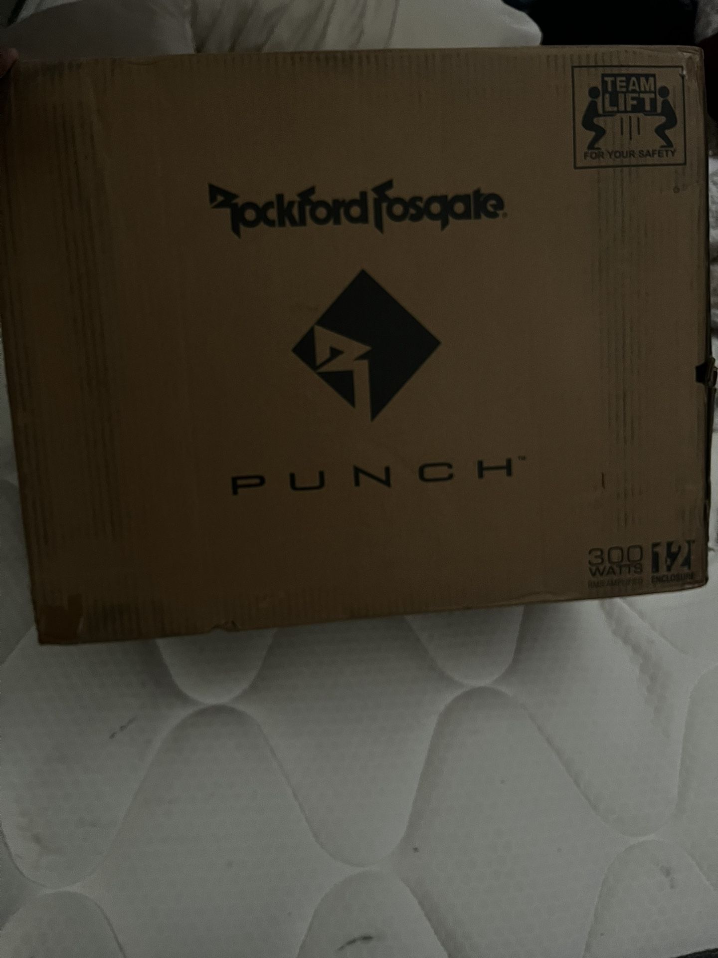 Rockford Fosgate P300 12”