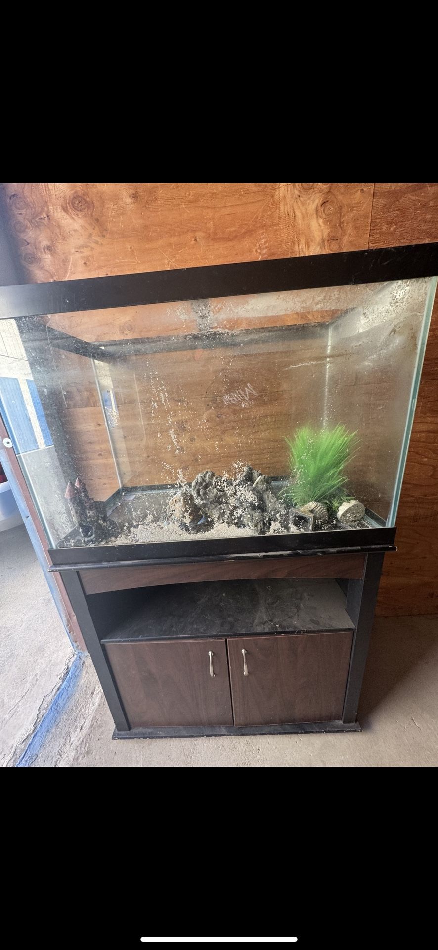 80-90 g fish tank