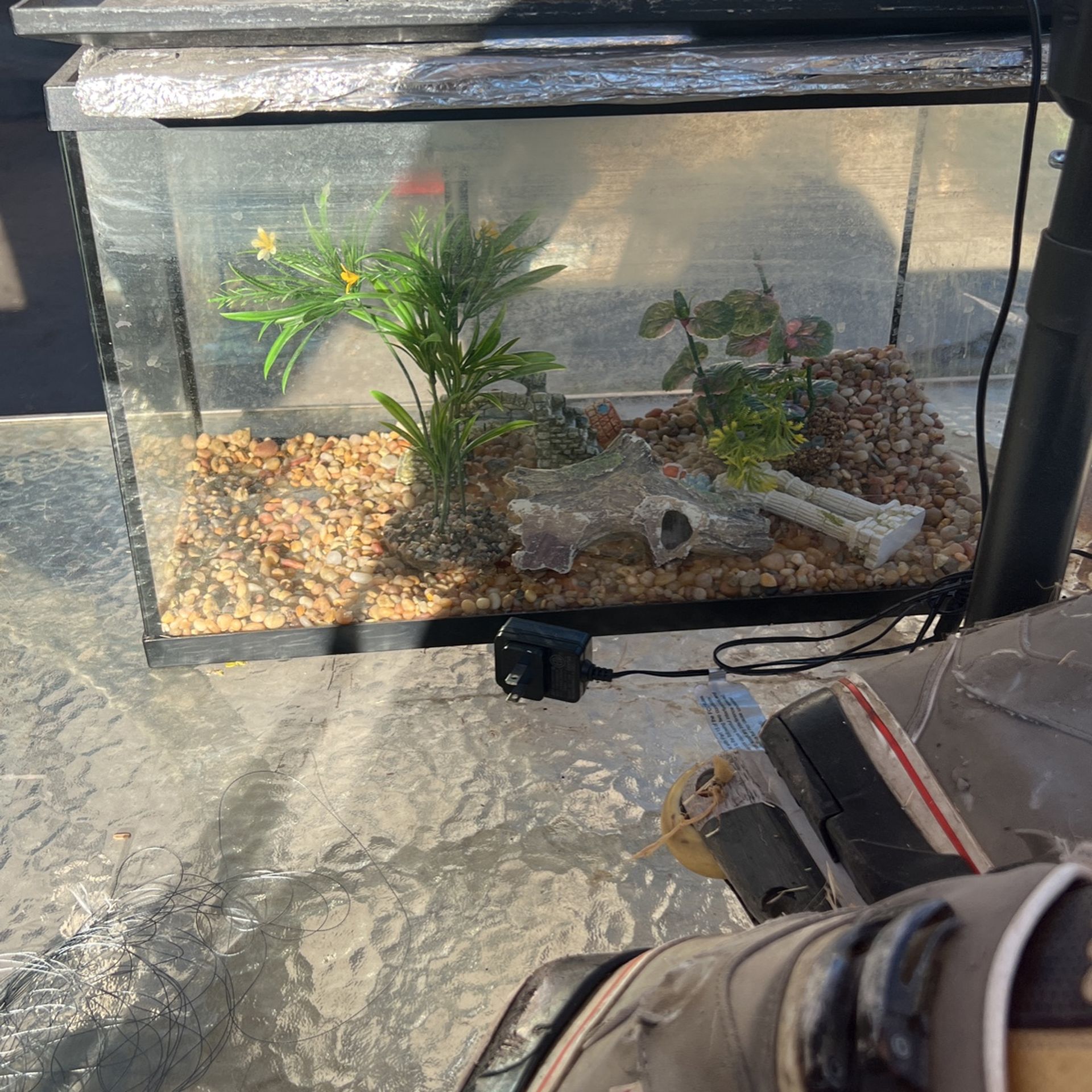 Fish Tank
