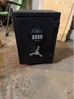 Fingerprint and Digital Safe