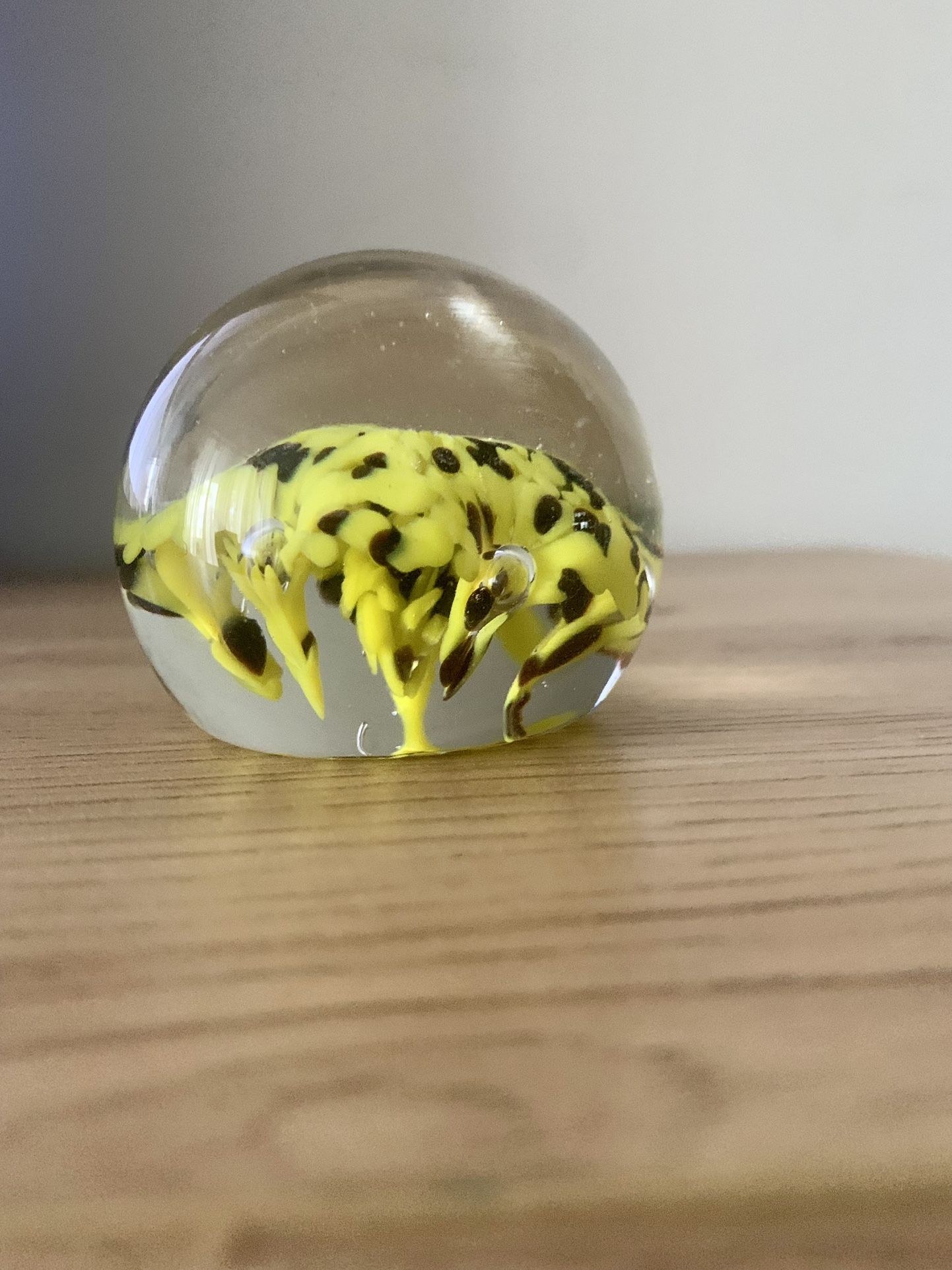KZ Kerry Zimmerman colorful Yellow & Black glass paperweight signed round